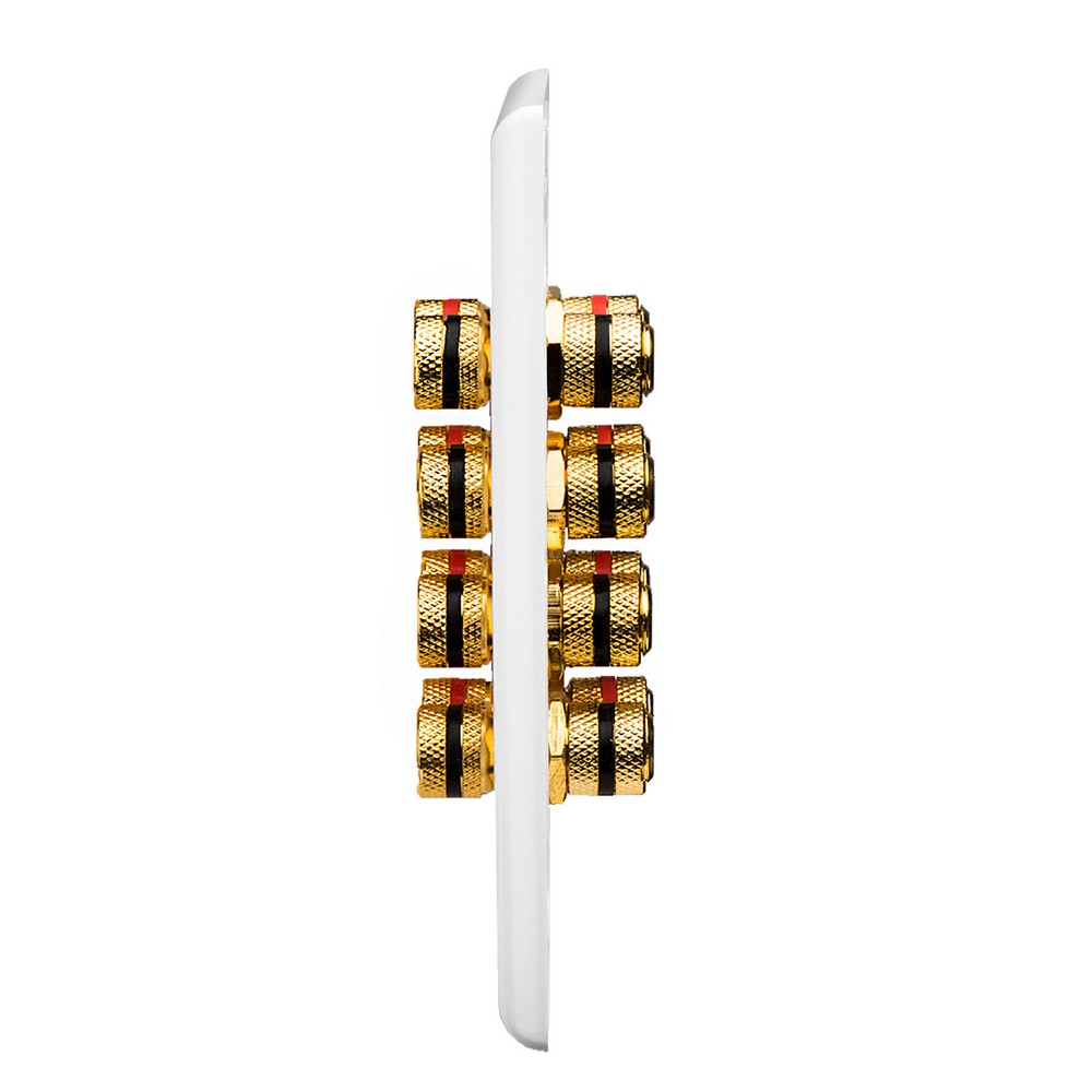 Speaker Wall Plate 4.0 White 8 Gold Posts Audio AV NON Speaker Wall Plate 4.0 White 8 Gold Posts Audio AV NON