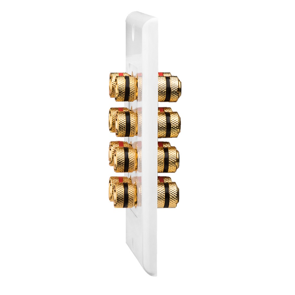 Piastra Audio Acciaio Inox Piastra Da Parete Per Altoparlante In Acciaio Inox - 8 Poli Con Connettori Banana Oro Terminale Non Saldato MSG Piastra Audio Acciaio Inox Piastra Da Parete Per Altoparlante In Acciaio Inox - 8 Poli Con Connettori Banana Oro Terminale Non Saldato MSG