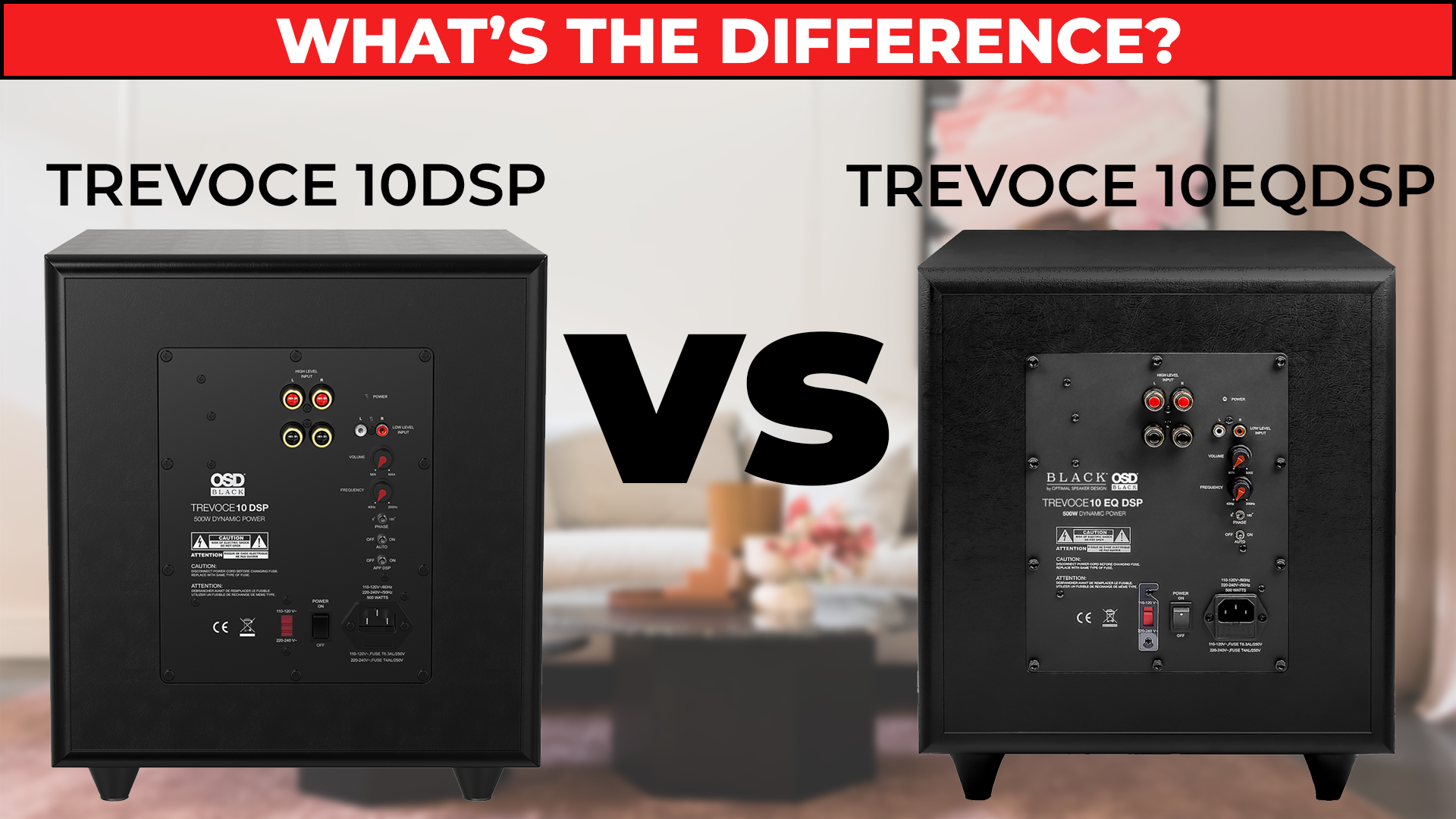 Customer Review of our Trevoce Subwoofer